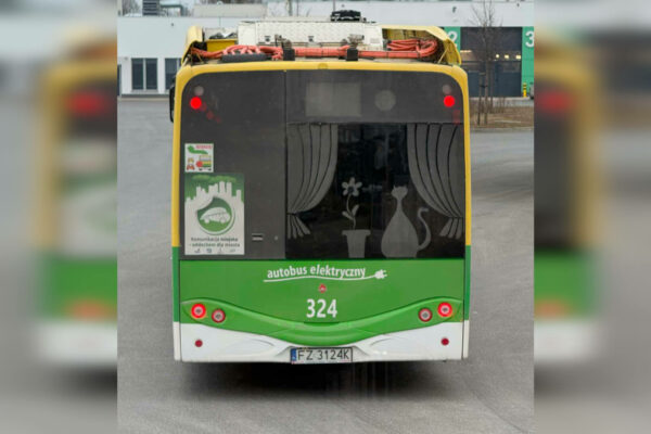 kierowca MZK Zielona Góra - sztuka na szybie autobusu
