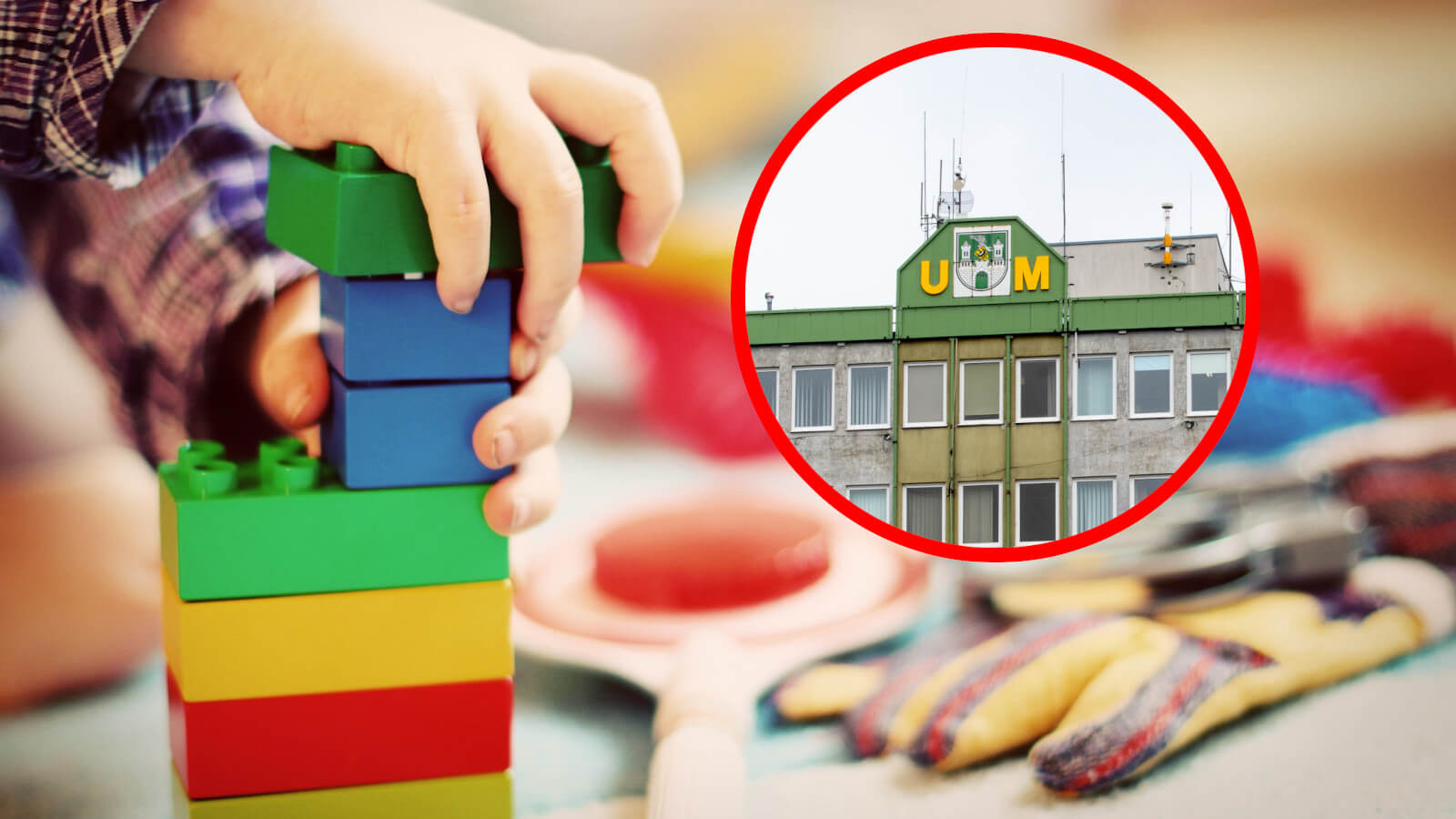 przedszkola Zielona Góra - oświadczenie miasta