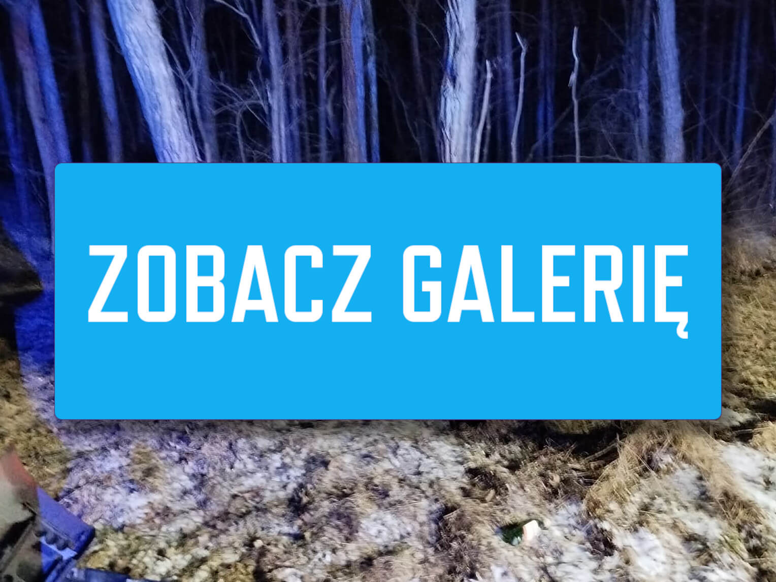 Wypadek na DK32 - Wypadek koło Zielonej Góry. Ford Mustang rozbity