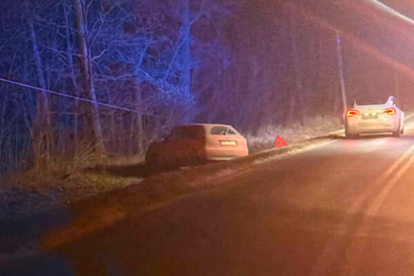 Wypadek na DW295 - Wypadek Nowogród Bobrzański