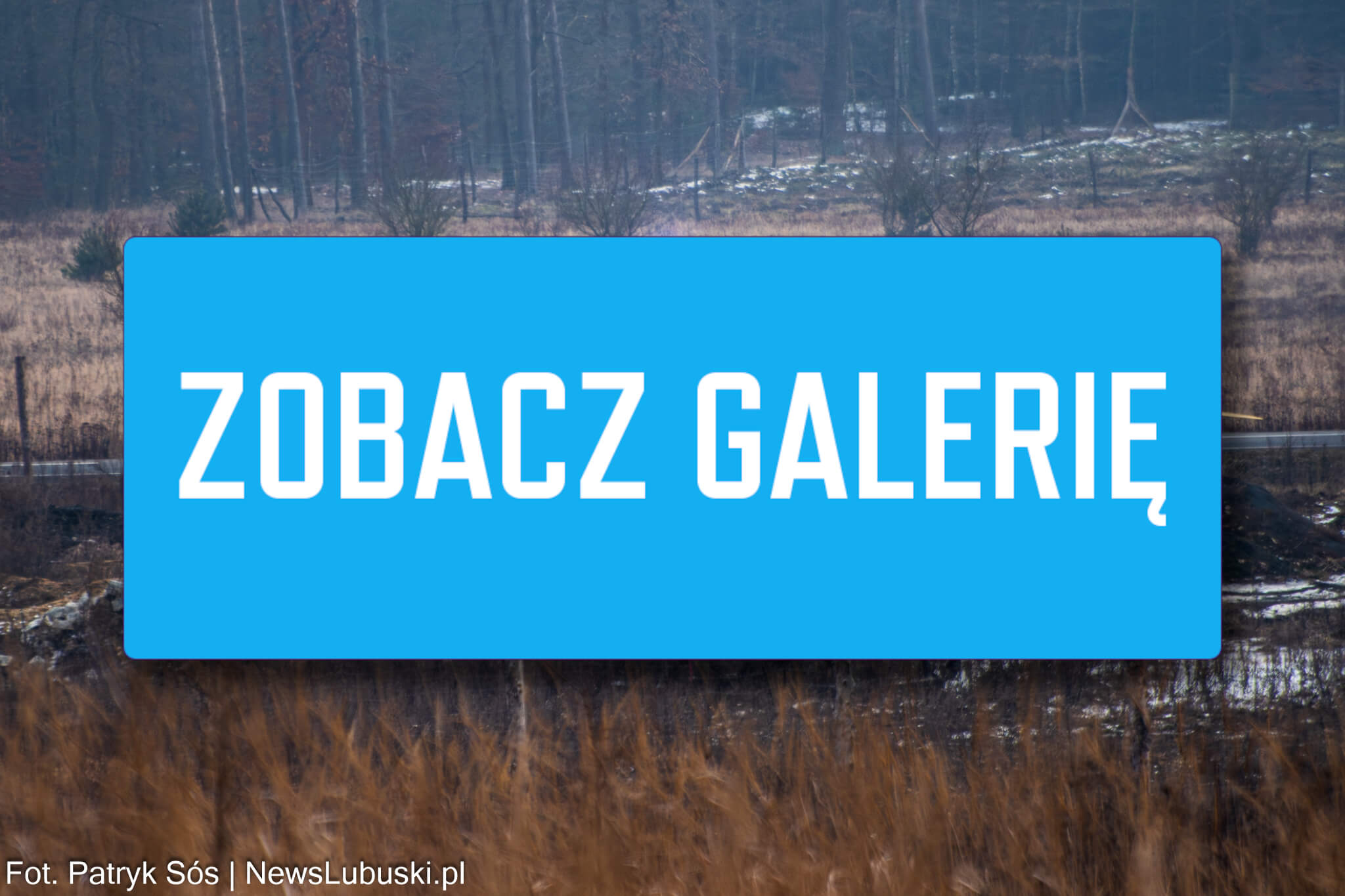 wypadek pod Zieloną Górą - wypadek na budowie