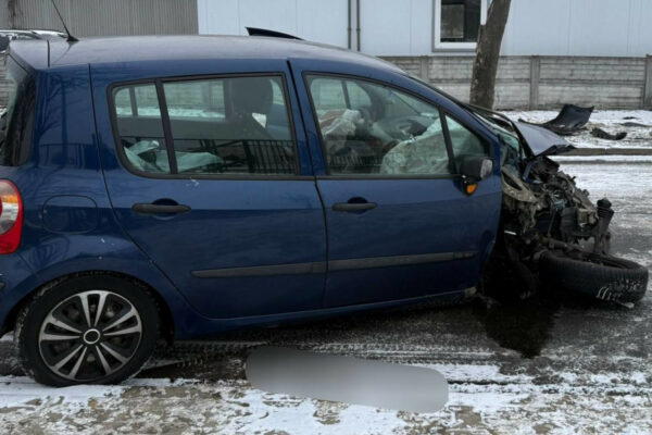 Wypadek Sulechów - Auto uderzyło w drzewo