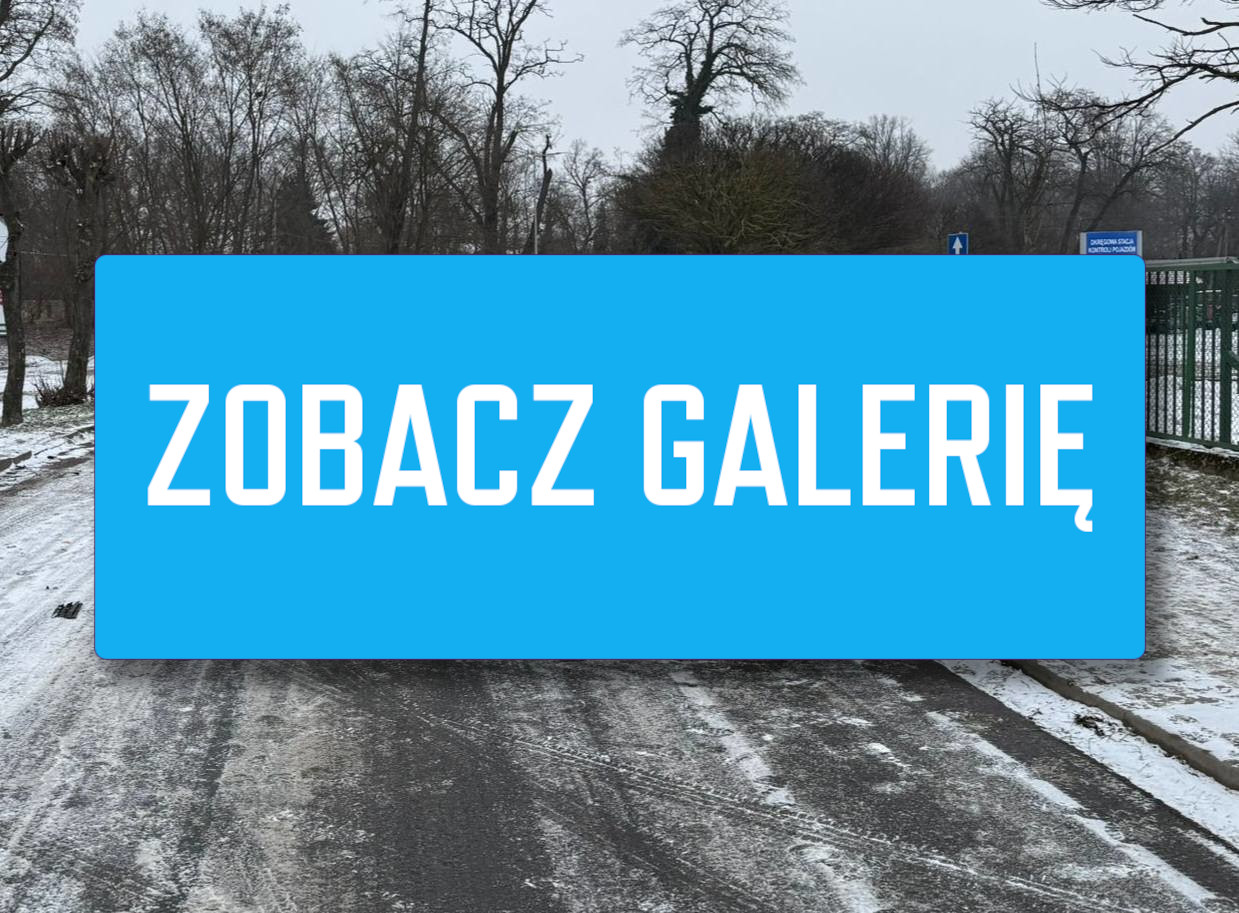 Wypadek Sulechów - Auto uderzyło w drzewo