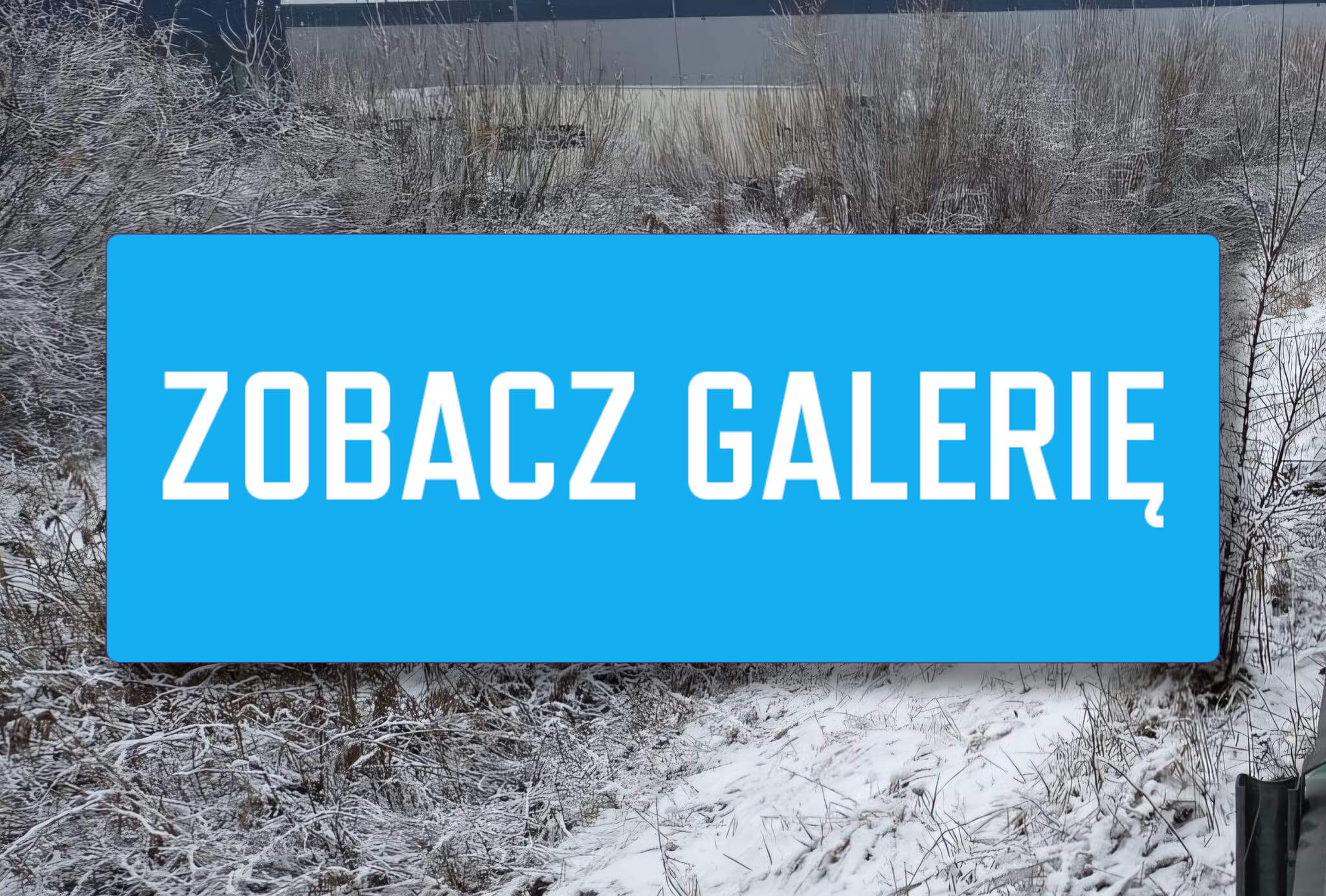 wypadek Zielona Góra DW282 - łyse opony