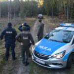 akcja Wieniec Straż Leśna - zbieranie poroża przepisy