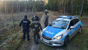 akcja Wieniec Straż Leśna - zbieranie poroża przepisy