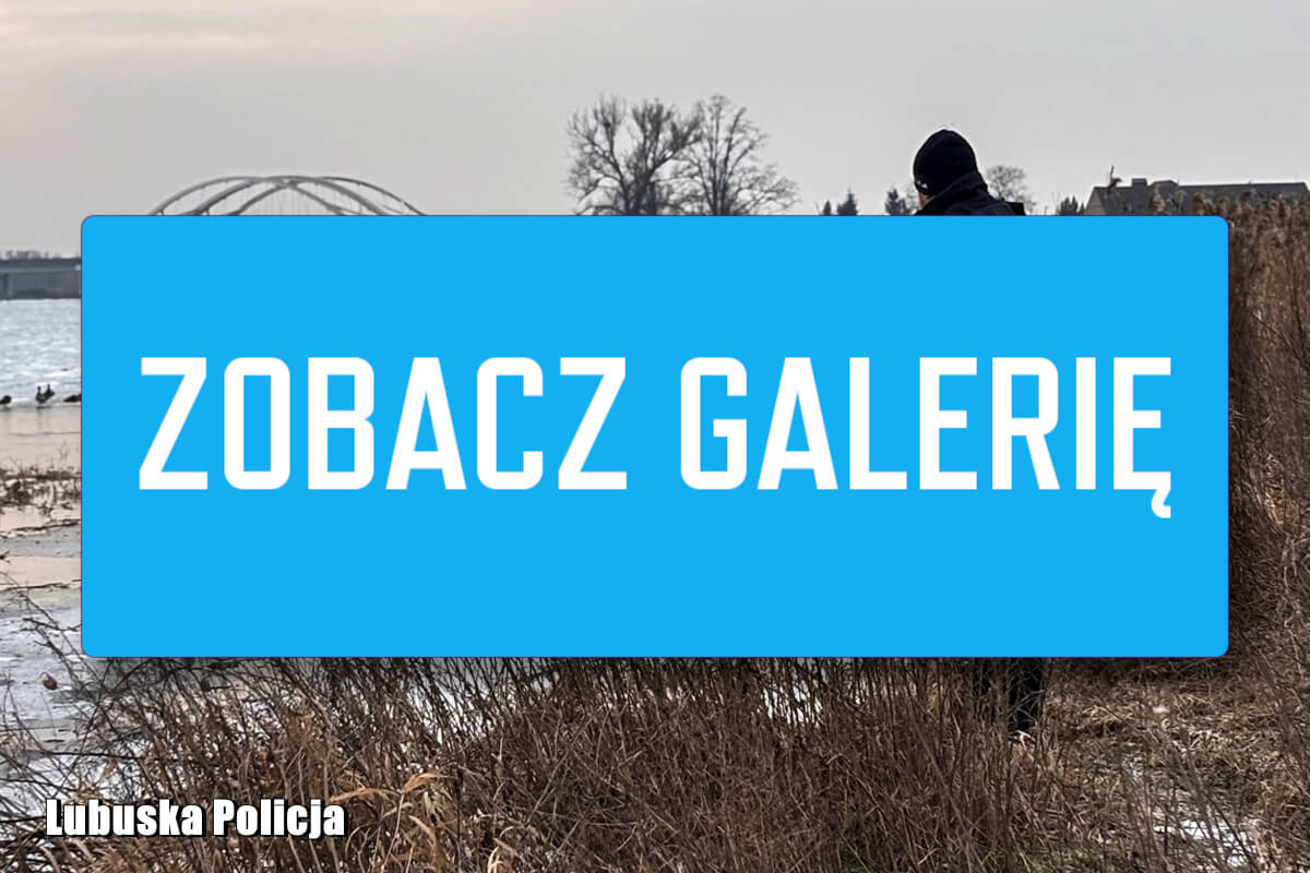 Gdzie jest 26-letnia Angelika Jastrzębska? Trwa czwarty dzień poszukiwań w Gorzowie Angelika Jastrzębska Gorzów - poszukiwania w Warcie