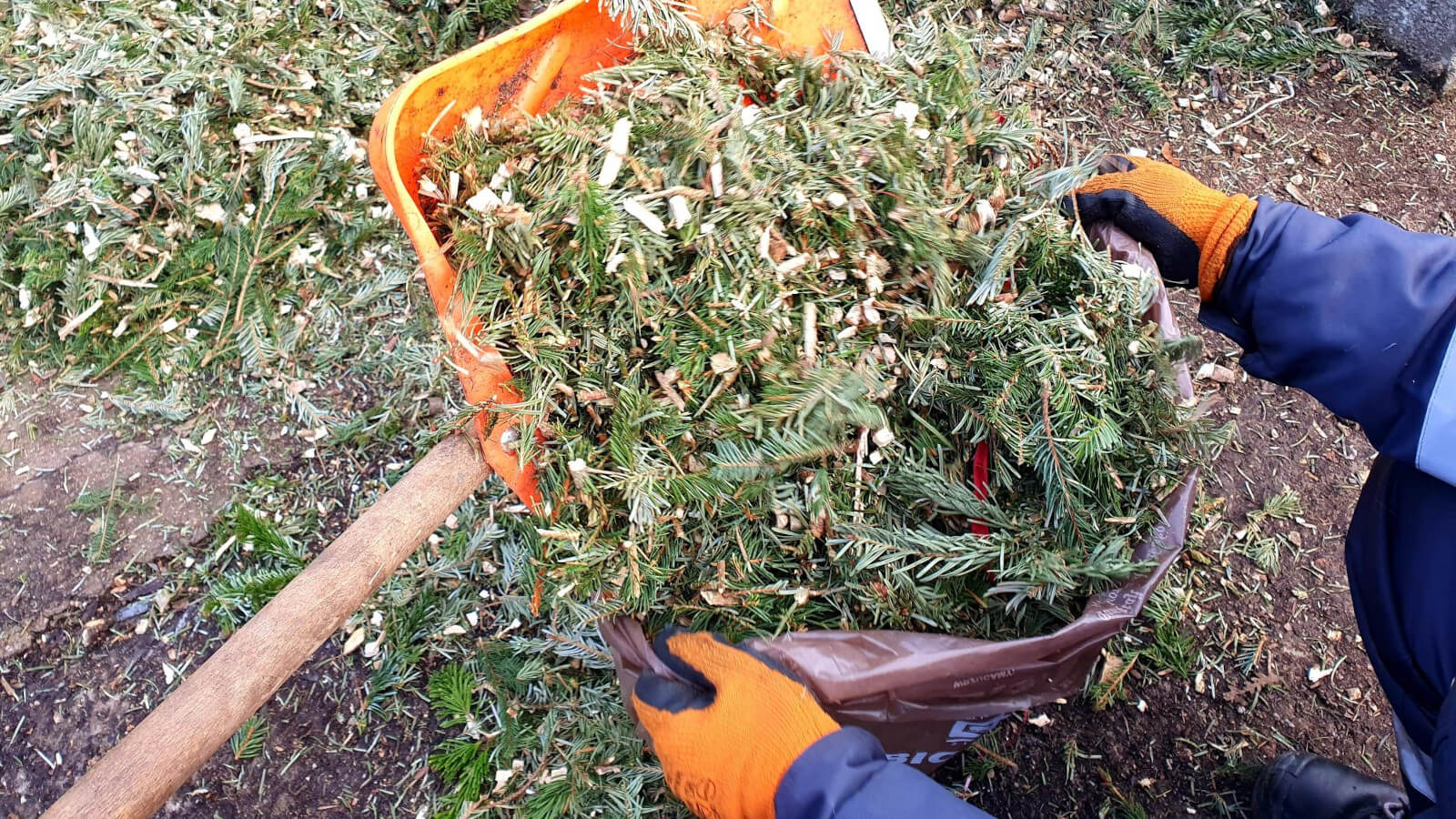 darmowe zrębki Zielona Góra - ZGK Zielona Góra