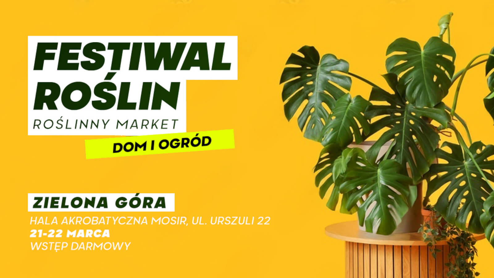 Festiwal Roślin Zielona Góra - rośliny od 5 zł
