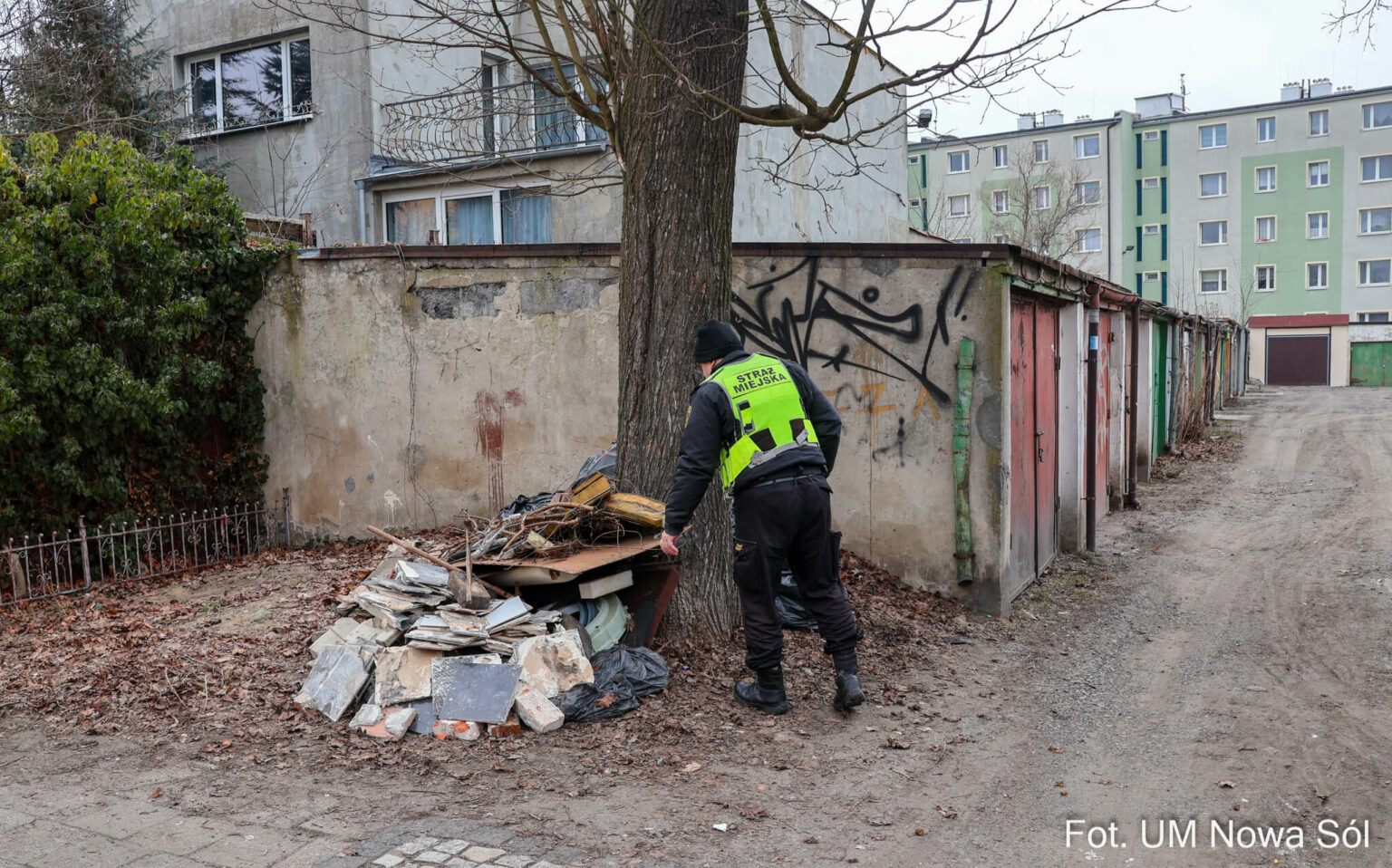 fotopułapka Nowa S&oacute;l - dzikie wysypisko Nowa S&oacute;l