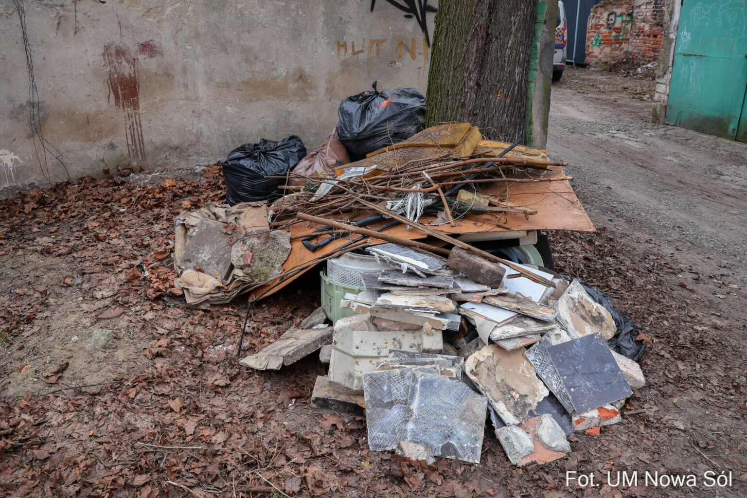 fotopułapka Nowa S&oacute;l - dzikie wysypisko Nowa S&oacute;l