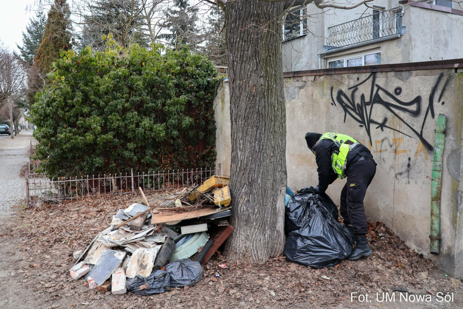 fotopułapka Nowa S&oacute;l - dzikie wysypisko Nowa S&oacute;l