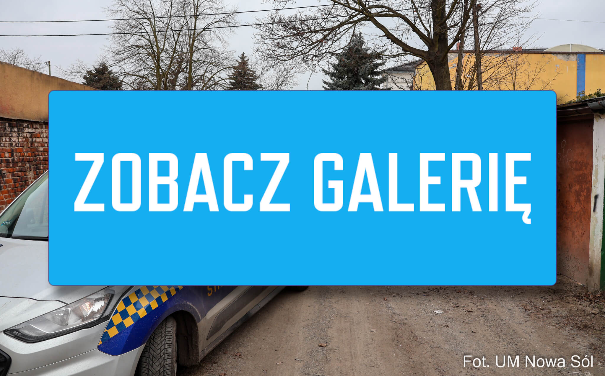 fotopułapka Nowa Sól - dzikie wysypisko Nowa Sól