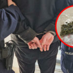 narkotyki Krosno Odrzańskie - policja Krosno Odrzańskie