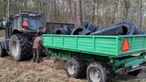 opony w lesie Żary - Nadleśnictwo Krzystkowice