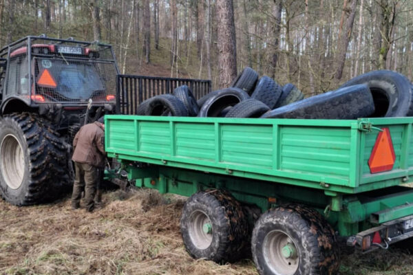 opony w lesie Żary - Nadleśnictwo Krzystkowice