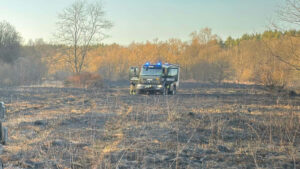 pożar traw Zielona Góra Nowogród Bobrzański - straż pożarna Zielona Góra
