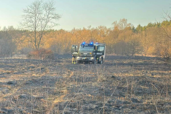pożar traw Zielona Góra Nowogród Bobrzański - straż pożarna Zielona Góra