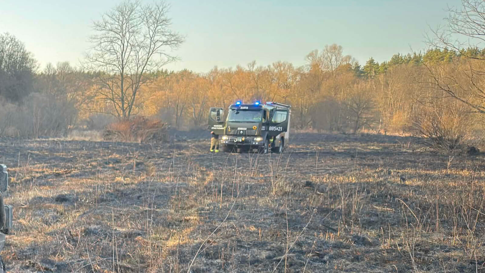 pożar traw Zielona Góra Nowogród Bobrzański - straż pożarna Zielona Góra