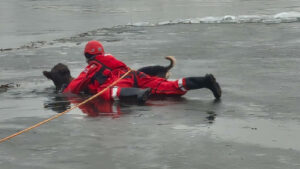 Pies uwięziony w lodowatej Odrze. Strażacy ruszyli na ratunek (ZDJĘCIA)