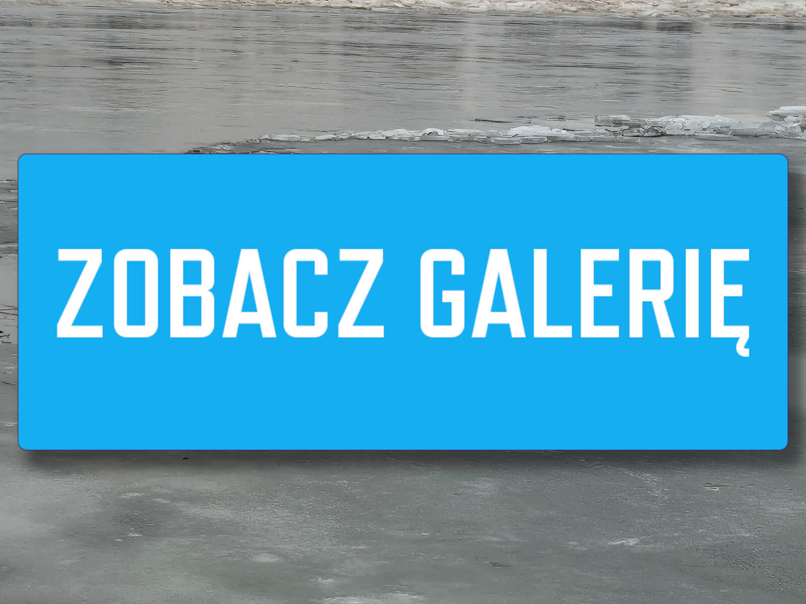 pies w Odrze - akcja strażaków Kostrzyn nad Odrą