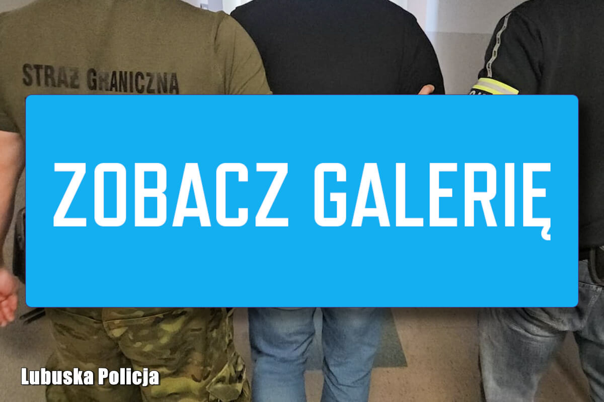 Wielka akcja policji w Lubuskiem. Zatrzymano 96 osób akcja policji Lubuskie - 96 zatrzymanych