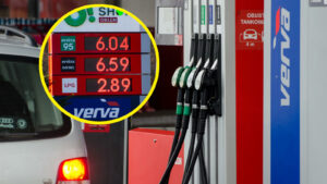 Ceny paliw rosną z dnia na dzień. Sprawdzamy, po ile tankują w Zielonej Górze (ZDJĘCIA)