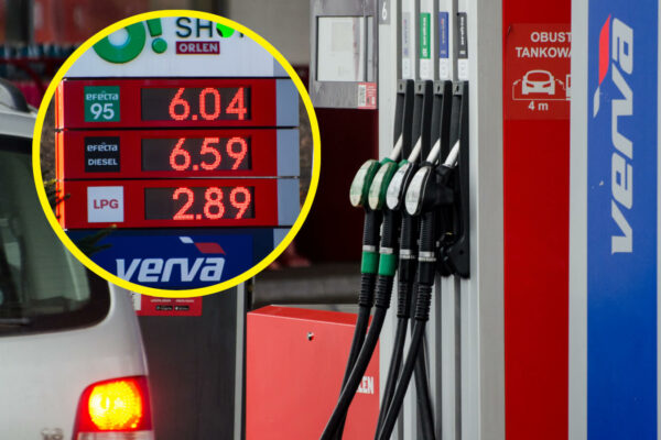 ceny paliw Zielona Góra - paliwo Orlen cena