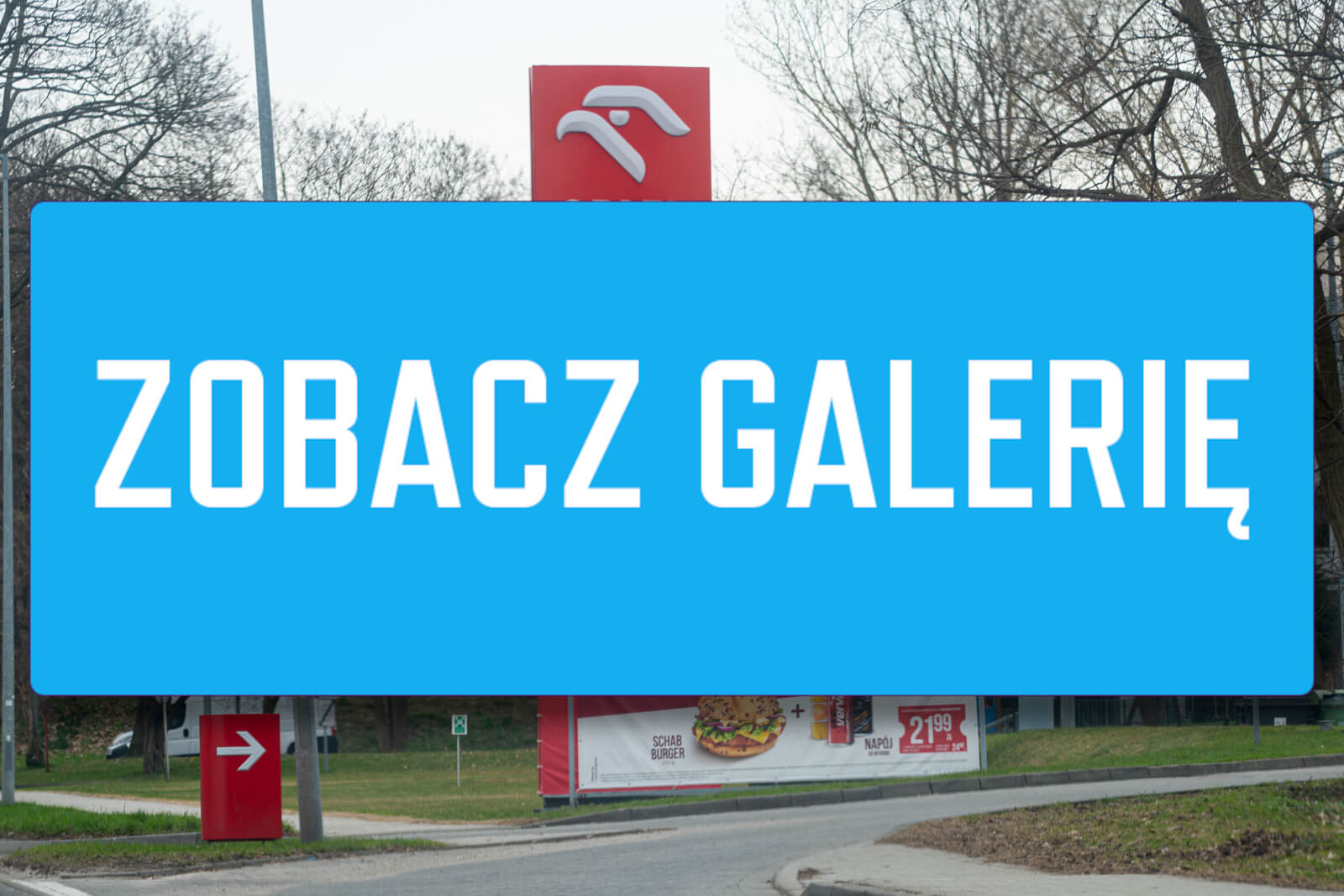 ceny paliw Zielona Góra - ile kosztuje paliwo