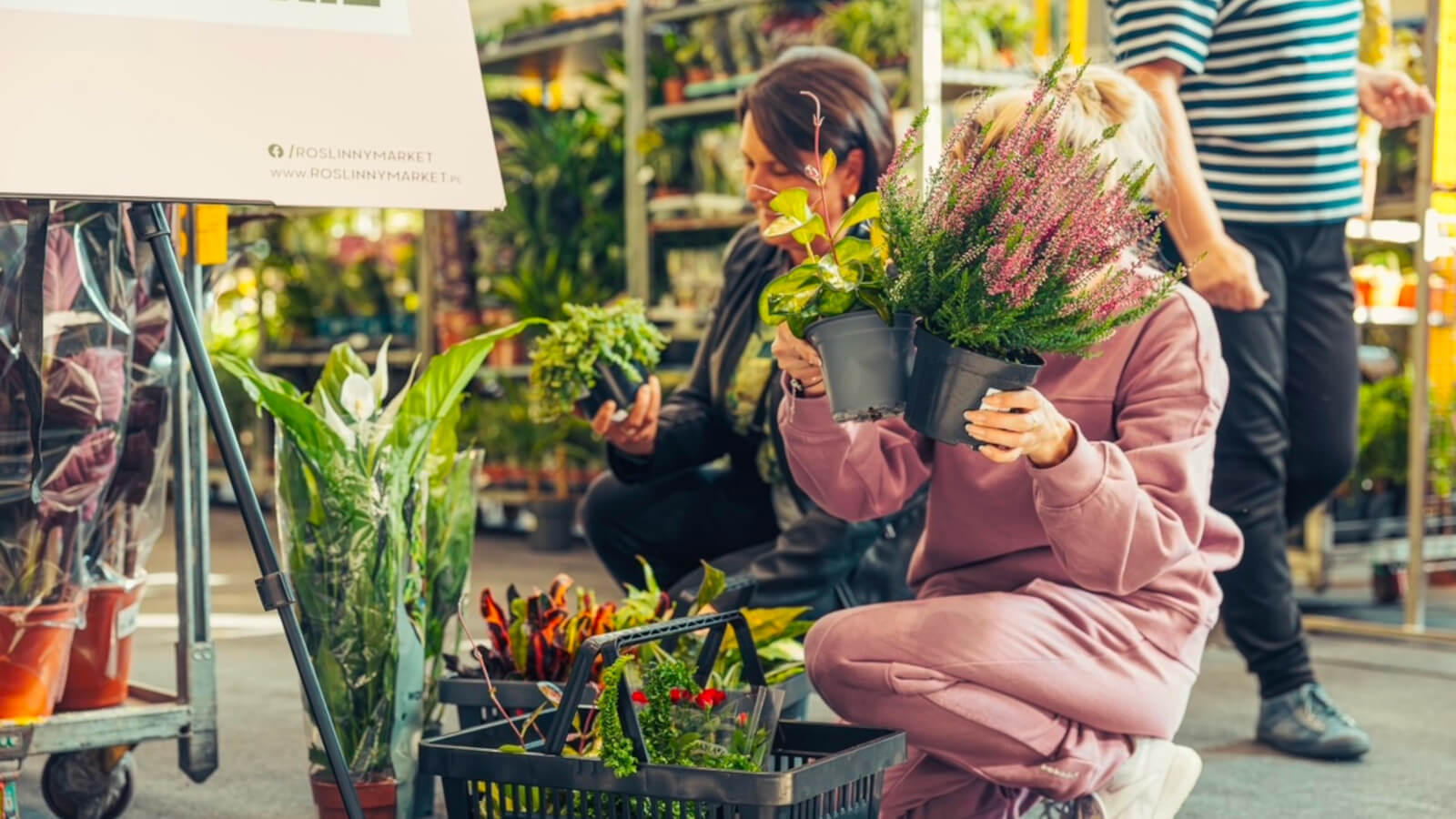 Festiwal Roślin Zielona Góra - tanie rośliny