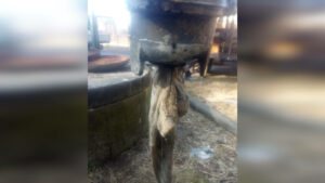 kanalizacja śmieci Zielona Góra - przepompownia ścieków Radomia Świdnica