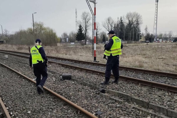 kradzież kabli kolejowych PKP - stacja Szprotawa