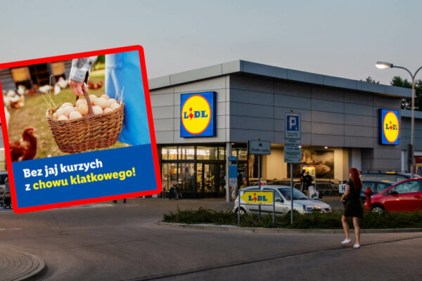 Lidl jajka klatkowe - zmiany w sklepach Lidl