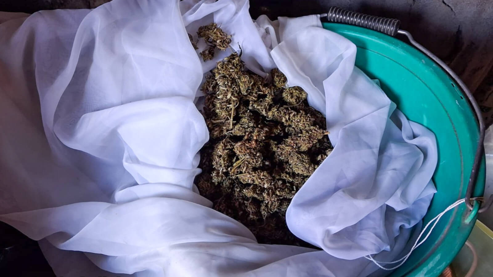 policja Cybinka narkotyki - zatrzymany poszukiwany