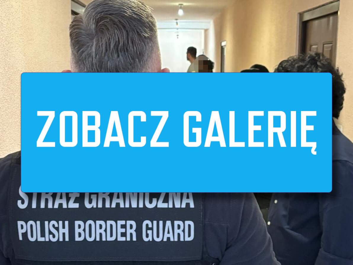 Podawali się za studentów z Poznania. Straż Graniczna szybko odkryła prawdę fałszywi studenci - nielegalny pobyt w Polsce