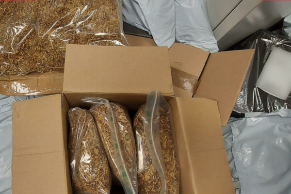 nielegalny tytoń - KAS kontrola paczek Lubuskie