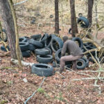 śmieci w lesie Nowogród Bobrzański - opony w lesie