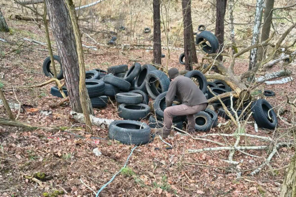 śmieci w lesie Nowogród Bobrzański - opony w lesie