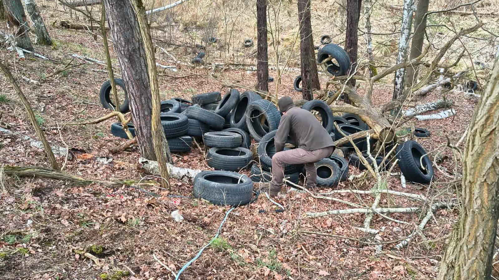 śmieci w lesie Nowogród Bobrzański - opony w lesie
