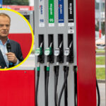 tusk paliwo - vat na paliwo i ceny paliw