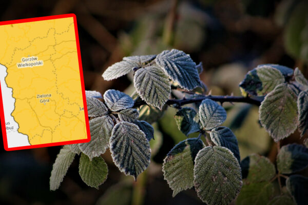 przymrozki Lubuskie - IMGW ostrzeżenie