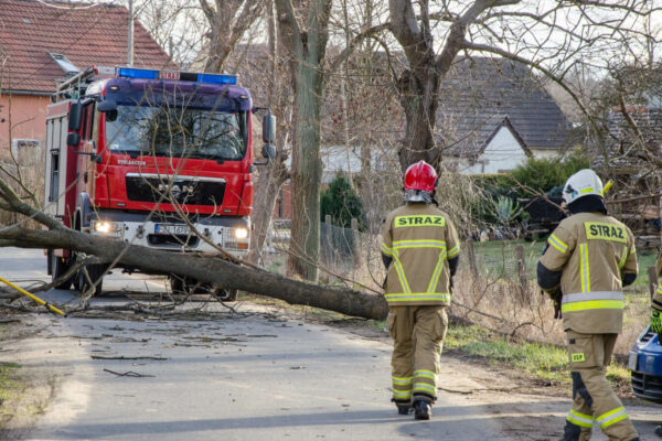 silny wiatr Lubuskie - ostrzeżenie IMGW