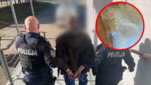 Wpadka poszukiwanego w Żaganiu. Policjanci znaleźli w mieszkaniu narkotyki