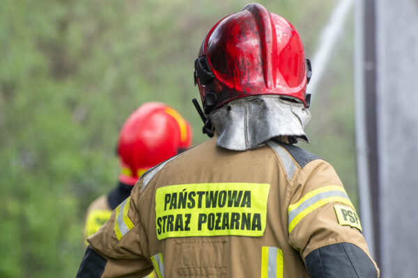 pożar pod Zieloną Górą - pożar traw Bogaczów