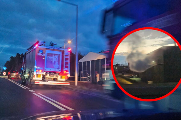 akcja straży Zielona Góra - zadymienie zakład Royalpack