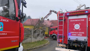 Pożar domu pod Sulechowem. W akcji 5 zastępów straży pożarnej (ZDJĘCIA)