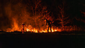 pożar Świdnica Zielona Góra - pożar traw