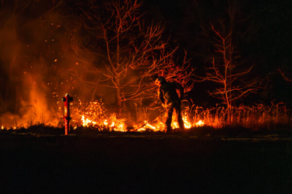 pożar Świdnica Zielona Góra - pożar traw