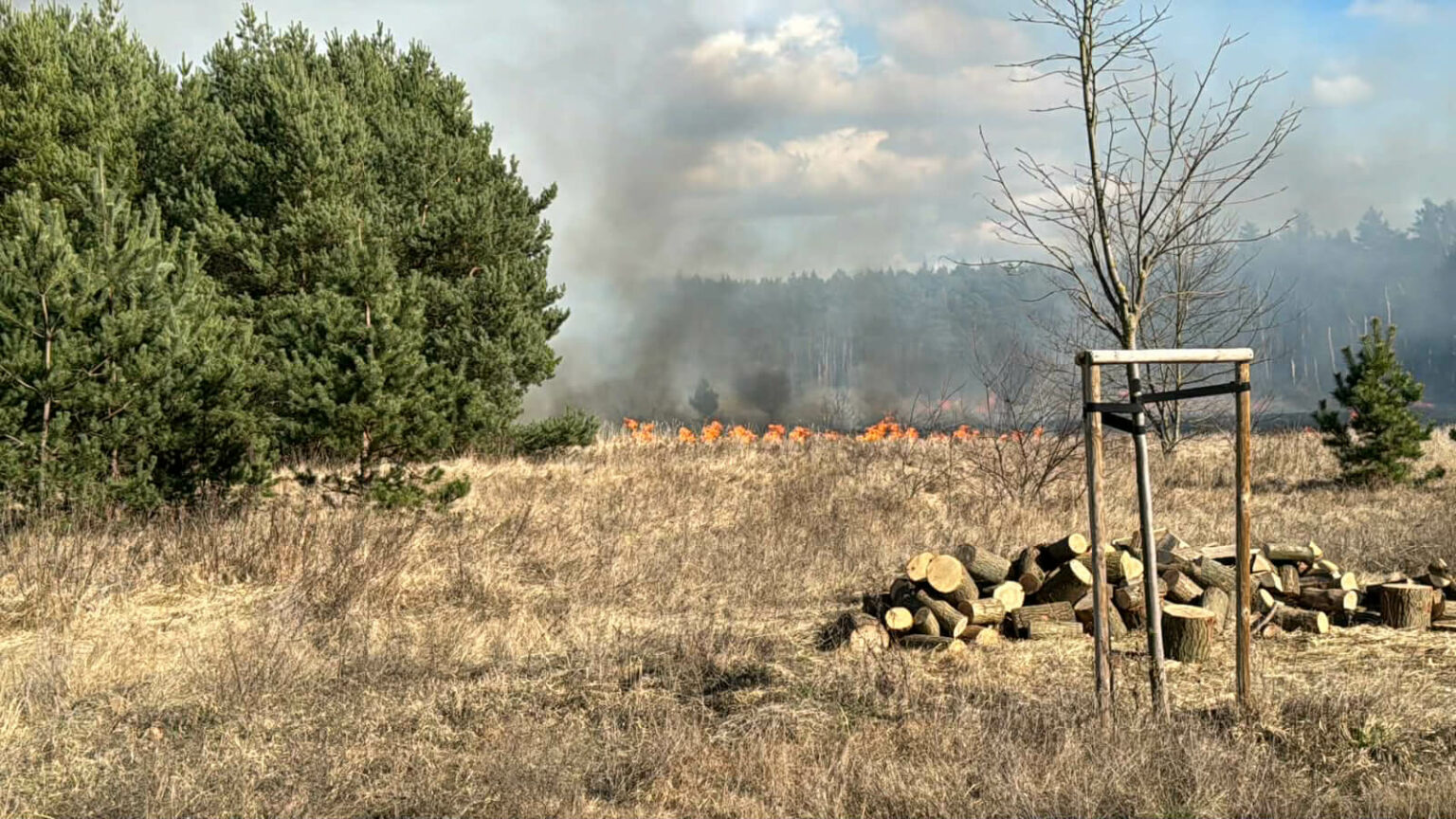 pożar Trzebiech&oacute;w - pożar traw koło Sulechowa