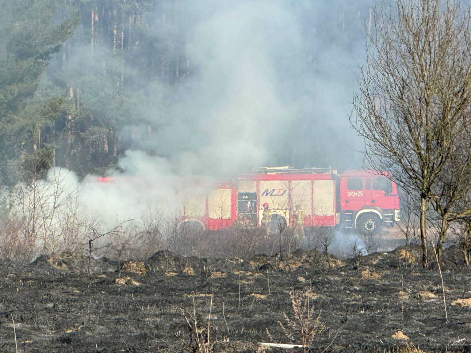 pożar Trzebiech&oacute;w - pożar traw koło Sulechowa